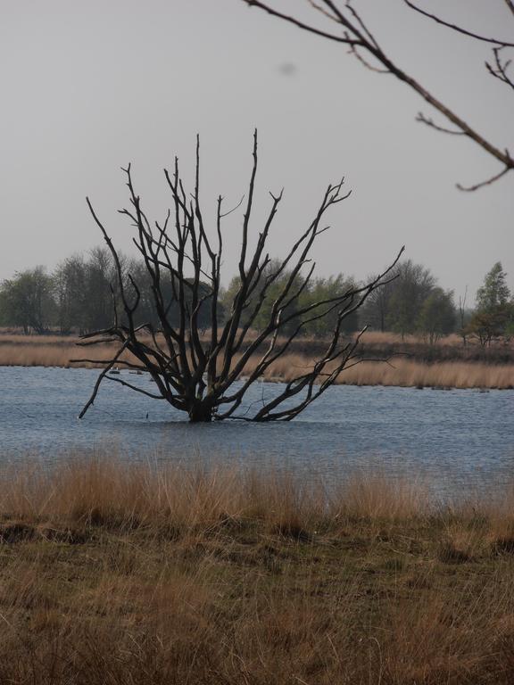Gezond Boeren Verstand Dalerveen 외부 사진